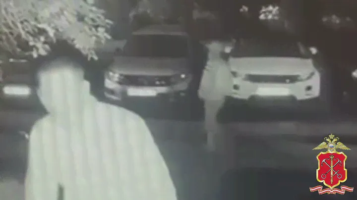 Видео: ГУ МВД РФ по Петербургу и Ленобласти