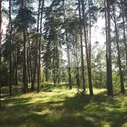 Купить участок 50 соток по адресу Московская область, городской округ Красногорск, коттеджный посёлок Вымпел - id 4012827661949994026 - по цене 171,16 млн руб. на Яндекс.Недвижимости