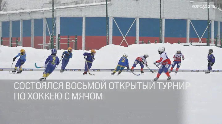 VIII открытый турнир по хоккею с мячом прошёл в Королёве