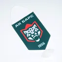 Вымпел малый Ак Барс