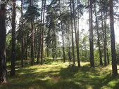 Купить участок 50 соток по адресу Московская область, городской округ Красногорск, коттеджный посёлок Вымпел - id 4012827661949994026 - по цене 171,16 млн руб. на Яндекс.Недвижимости