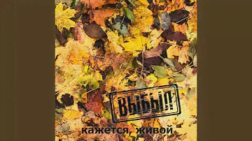 Вход в пустоту (Acoustic)